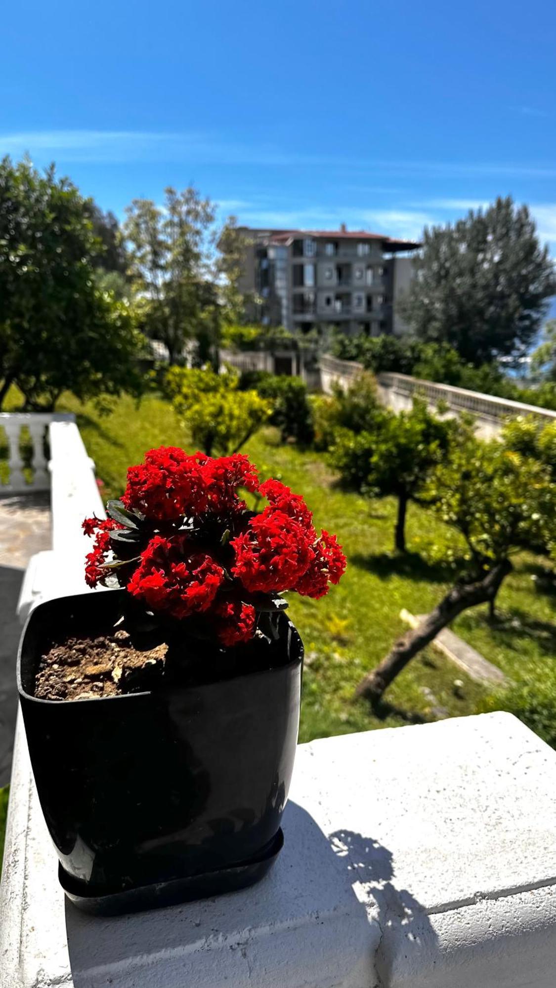 Villa Mare - For Families & Groups Vlorë 외부 사진